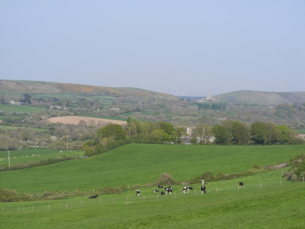 Bradle Farmhouse Corfe Castle Exterior foto